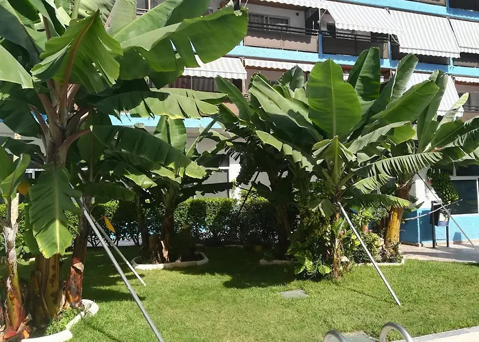 Acogedor Estudio Con Piscina Y Cerca De La Playa بويرتو ذي لا كروز