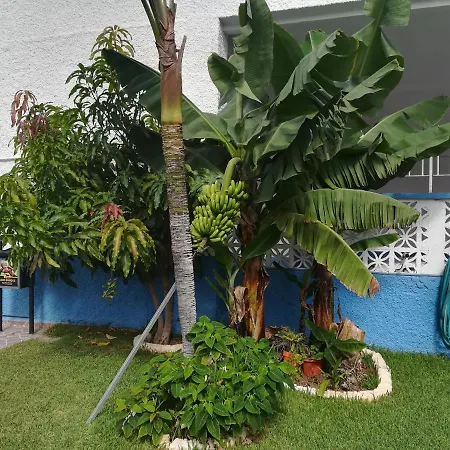 Acogedor Estudio Con Piscina Y Cerca De La Playa