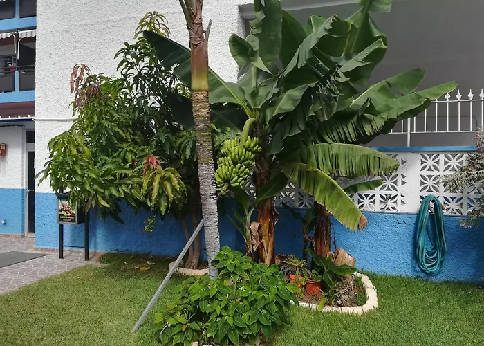 Acogedor Estudio Con Piscina Y Cerca De La Playa